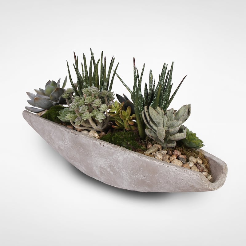 Assorted Artificial Succulents with Natural Pebbles in a Stone Boat