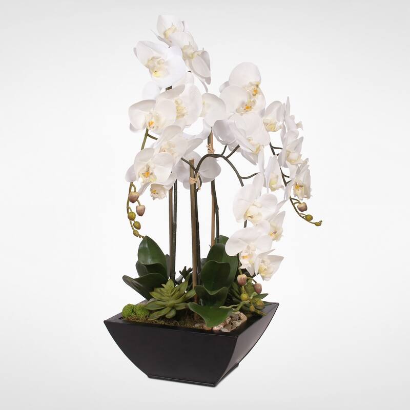 Real Touch White Orchids and Succulents in a Black Metal Zinc Pot