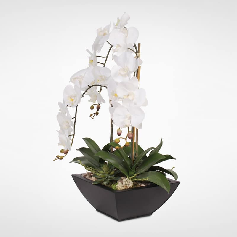 Real Touch White Orchids and Succulents in a Black Metal Zinc Pot