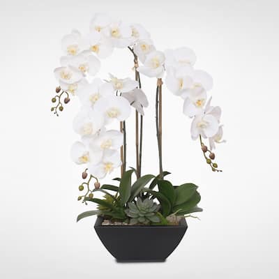 Real Touch White Orchids and Succulents in a Black Metal Zinc Pot