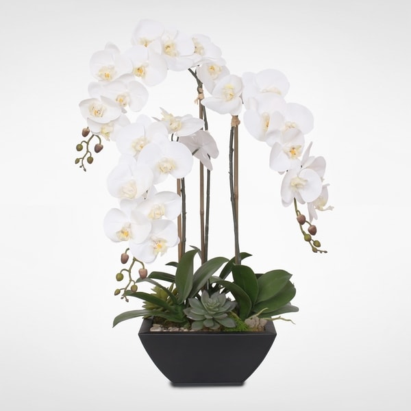 Real Touch White Orchids and Succulents in a Black Metal Zinc Pot - On ...