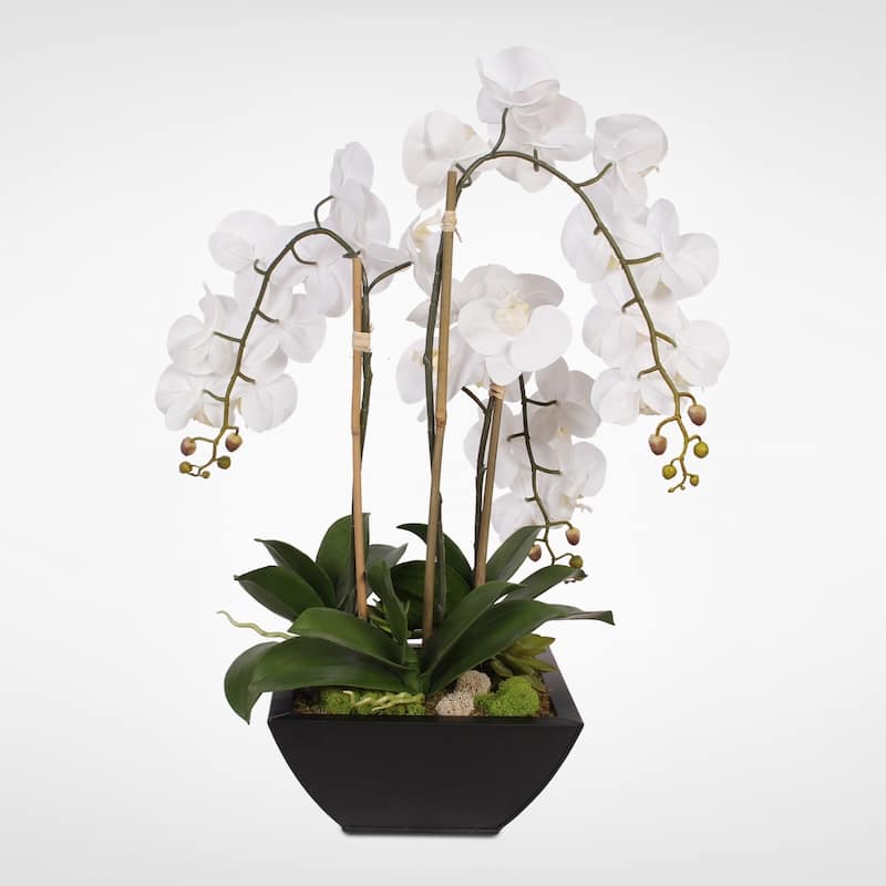 Real Touch White Orchids and Succulents in a Black Metal Zinc Pot