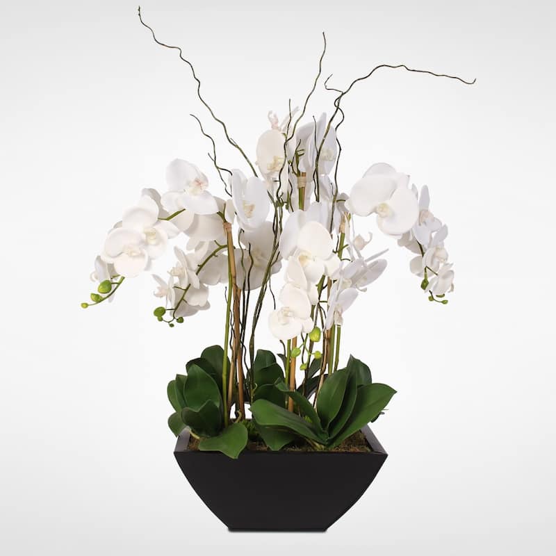 Real Touch White Phalaenopsis Orchids in a Black Metal Zinc Pot
