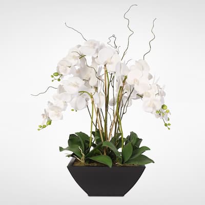 Real Touch White Phalaenopsis Orchids in a Black Metal Zinc Pot