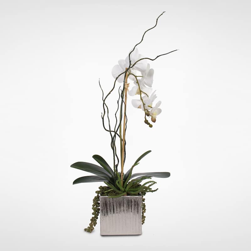Real Touch White Orchid with Succulents in a Silver Ceramic Pot