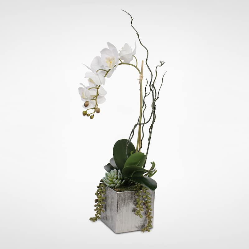 Real Touch White Orchid with Succulents in a Silver Ceramic Pot