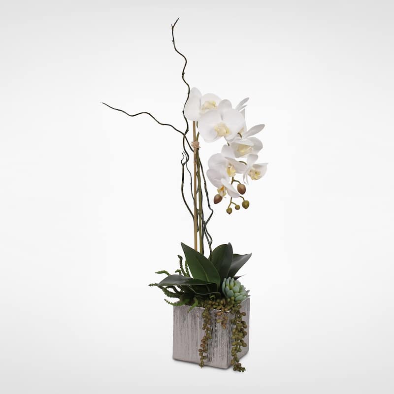 Real Touch White Orchid with Succulents in a Silver Ceramic Pot