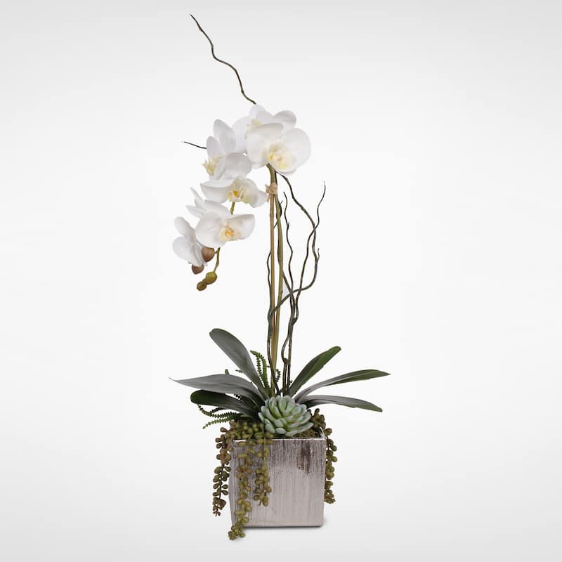 Real Touch White Orchid with Succulents in a Silver Ceramic Pot