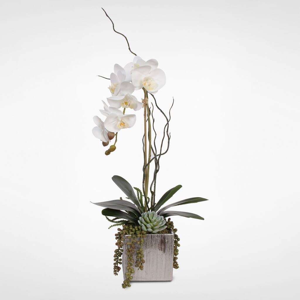 Real Touch White Orchid with Succulents in a Silver Ceramic Pot