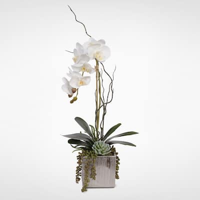Real Touch White Orchid with Succulents in a Silver Ceramic Pot