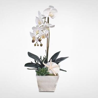 Real Touch White Orchid w/Seashells & Succulents in a Wood Pot