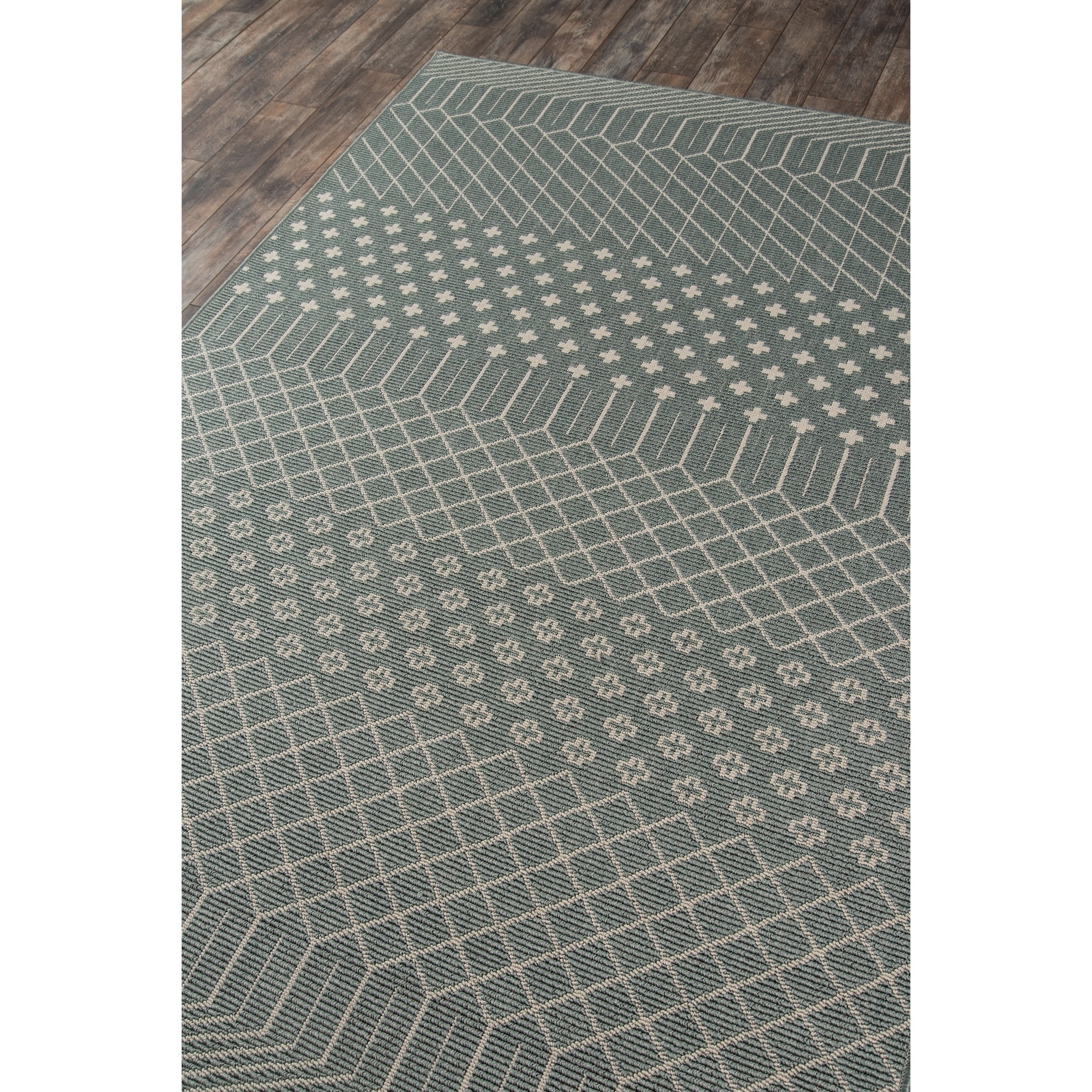 Polypropylene Outdoor Area Rugs Bryont Blog