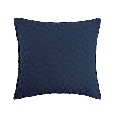 Regent 18 x 18 Decorative Accent Throw Pillow