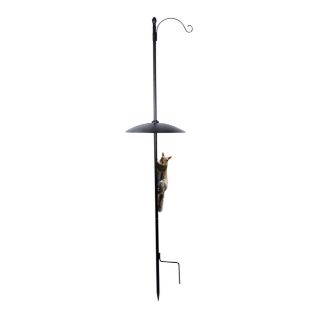 Shop The Effortless Birdfeeder Squirrel Baffle Birdfeeder Pole