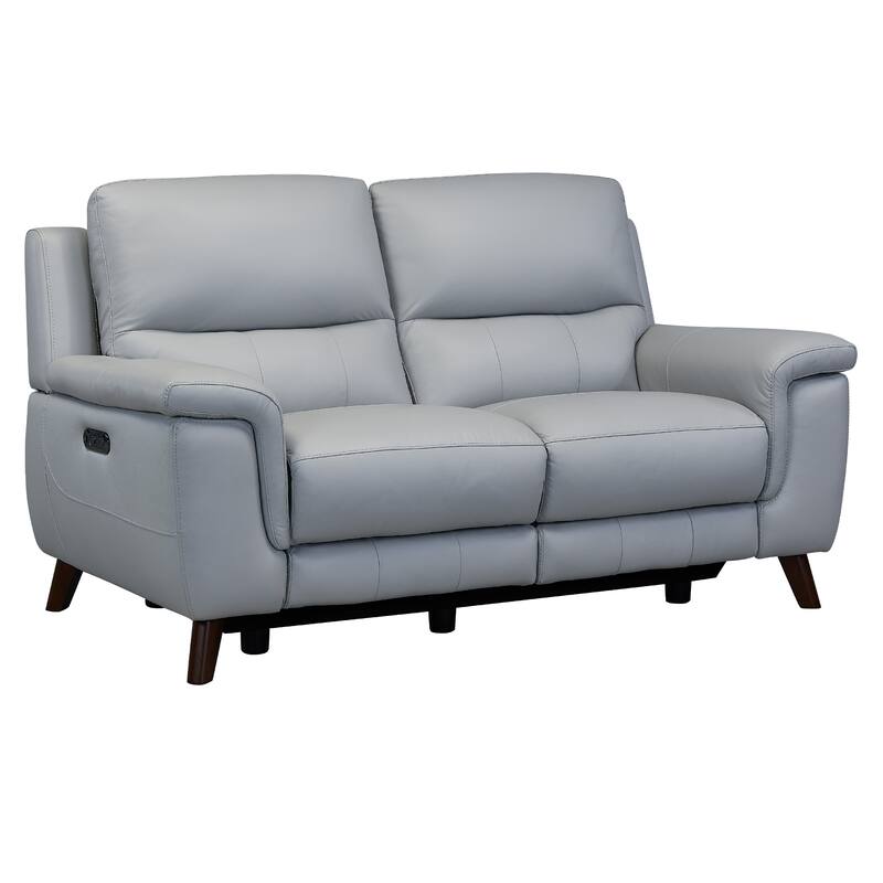 Anna Contemporary Loveseat in Dark Brown Wood Finish and Dove Grey Genuine Leather