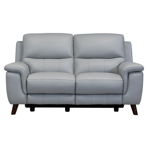 Anna Contemporary Loveseat In Dark Brown Wood Finish And Dove Grey Genuine Leather