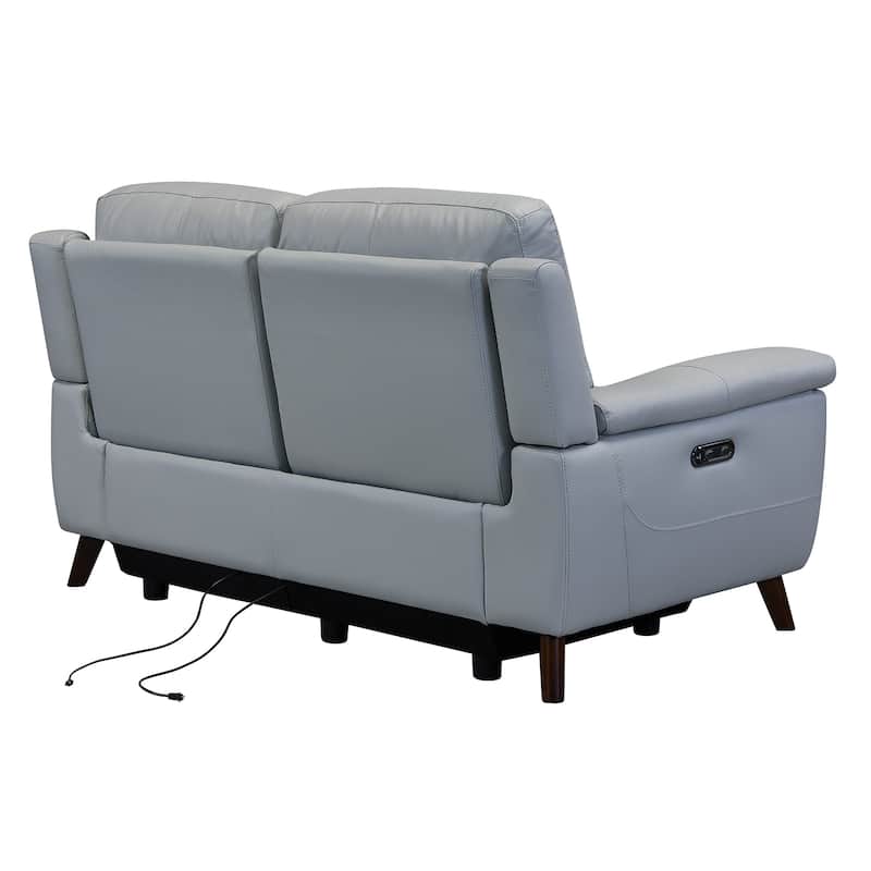 Anna Contemporary Loveseat in Dark Brown Wood Finish and Dove Grey Genuine Leather