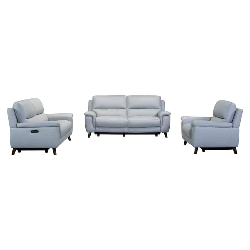 Anna Contemporary Loveseat in Dark Brown Wood Finish and Dove Grey Genuine Leather