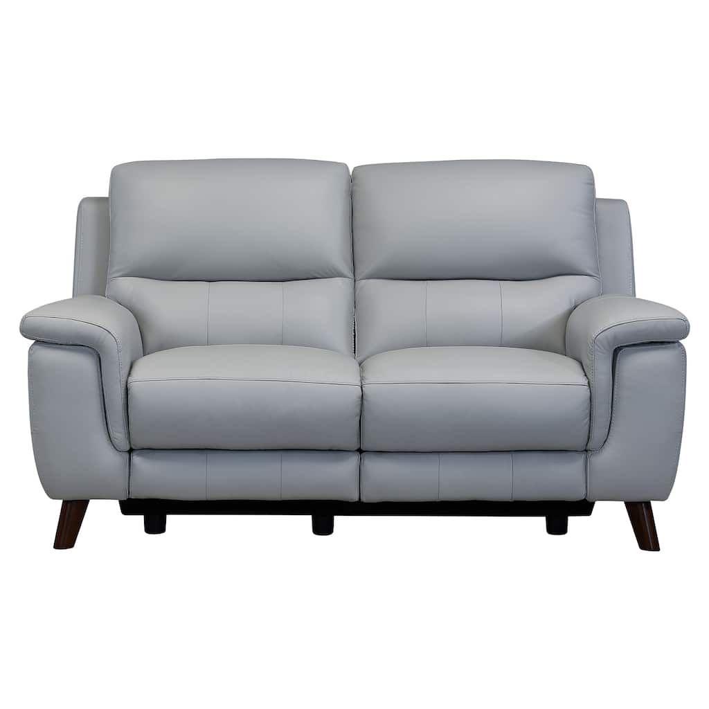 Anna Contemporary Loveseat in Dark Brown Wood Finish and Dove Grey Genuine Leather