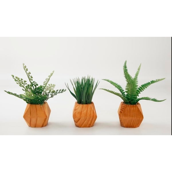 Set of 3 ferns and grass in mid-century geometric pots