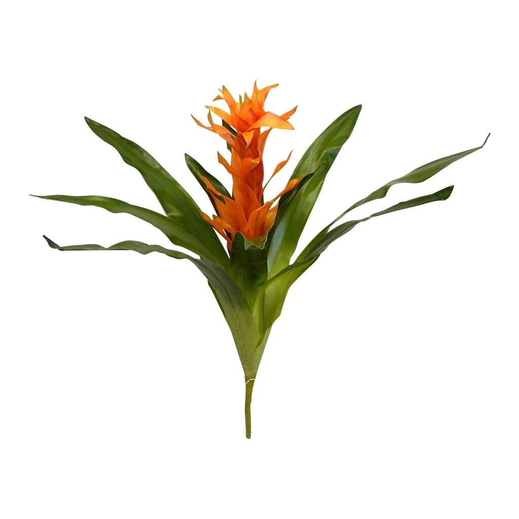 20" Bromeliad orchid stem
