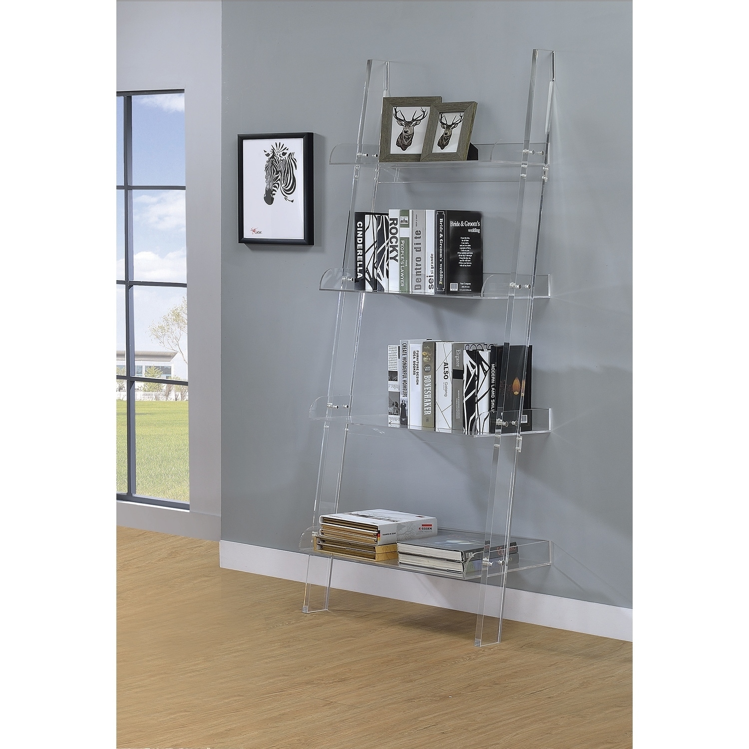 Shop Cimarron Clear Acrylic Ladder Bookcase Overstock 27660186