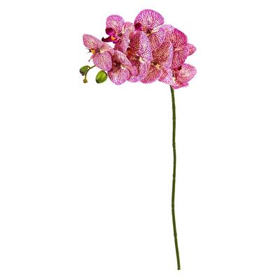 28" Orchid Phalaenopsis Artificial Flower Stem (Set of 6)