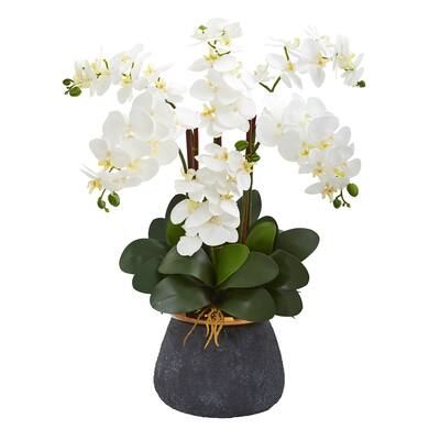 Phalaenopsis Orchid Artificial Arrangement in Stoneware Vase