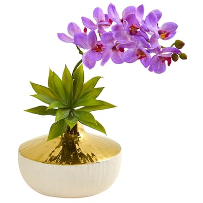 Phalaenopsis Orchid and Agave Artificial Arrangement in Vase