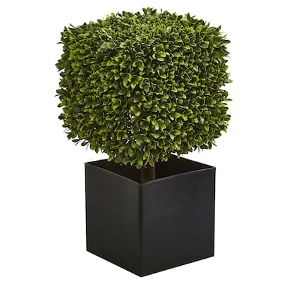 27" Boxwood Artificial Plant in Black Planter (indoor/Outdoor)