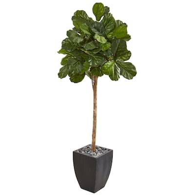 71" Fiddle Leaf Fig Artificial Tree in Black Planter