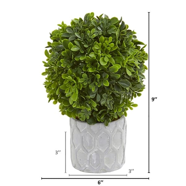 Mini Topiary 9