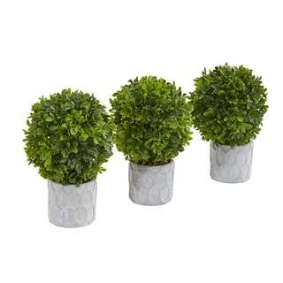 Boxwood Ball Topiary in Pot Large