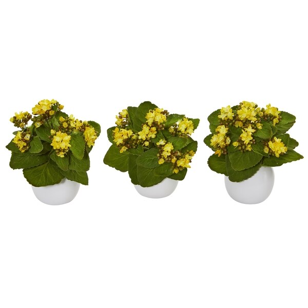 8" Kalanchoe Artificial Plant in White Vase (Set of 3)