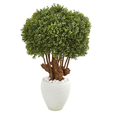 41" Boxwood Artificial Topiary Tree in White Planter (Indoor/Outdoor)