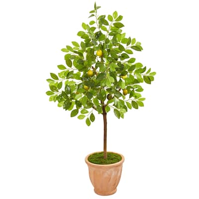 55" Lemon Artificial Tree in Terra Cotta Planter