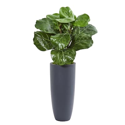 36" Fiddle Leaf Artificial Plant in Gray Planter