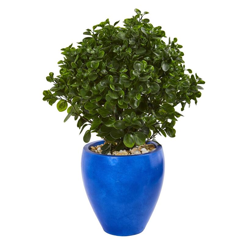 32" Peperomia Artificial Plant in Blue Planter UV Resistant (Indoor/Outdoor)