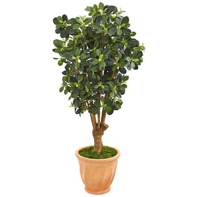 46" Panda Ficus Artificial Tree in Terra-Cotta Planter