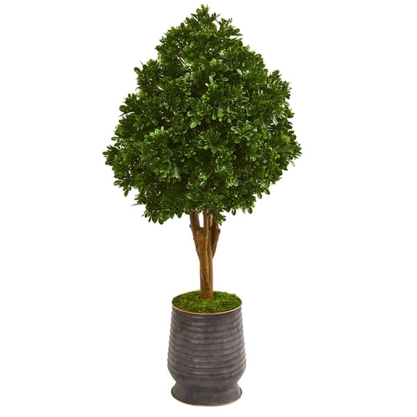 slide 1 of 1, 49" Tea Leaf Artificial Tree in Metal Planter UV Resistant (Indoor/Outdoor)