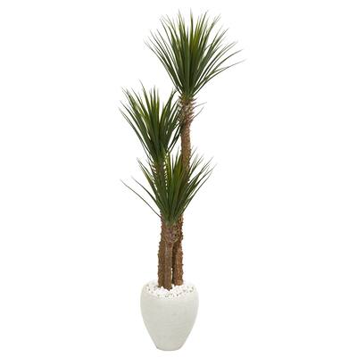 5.5' Yucca Artificial Tree in White Planter