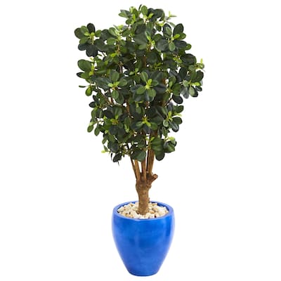 50" Panda Ficus Artificial Tree in Blue Planter