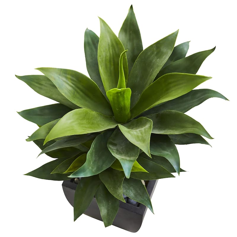 37" Double Agave Succulent Artificial Plant in Black Planter