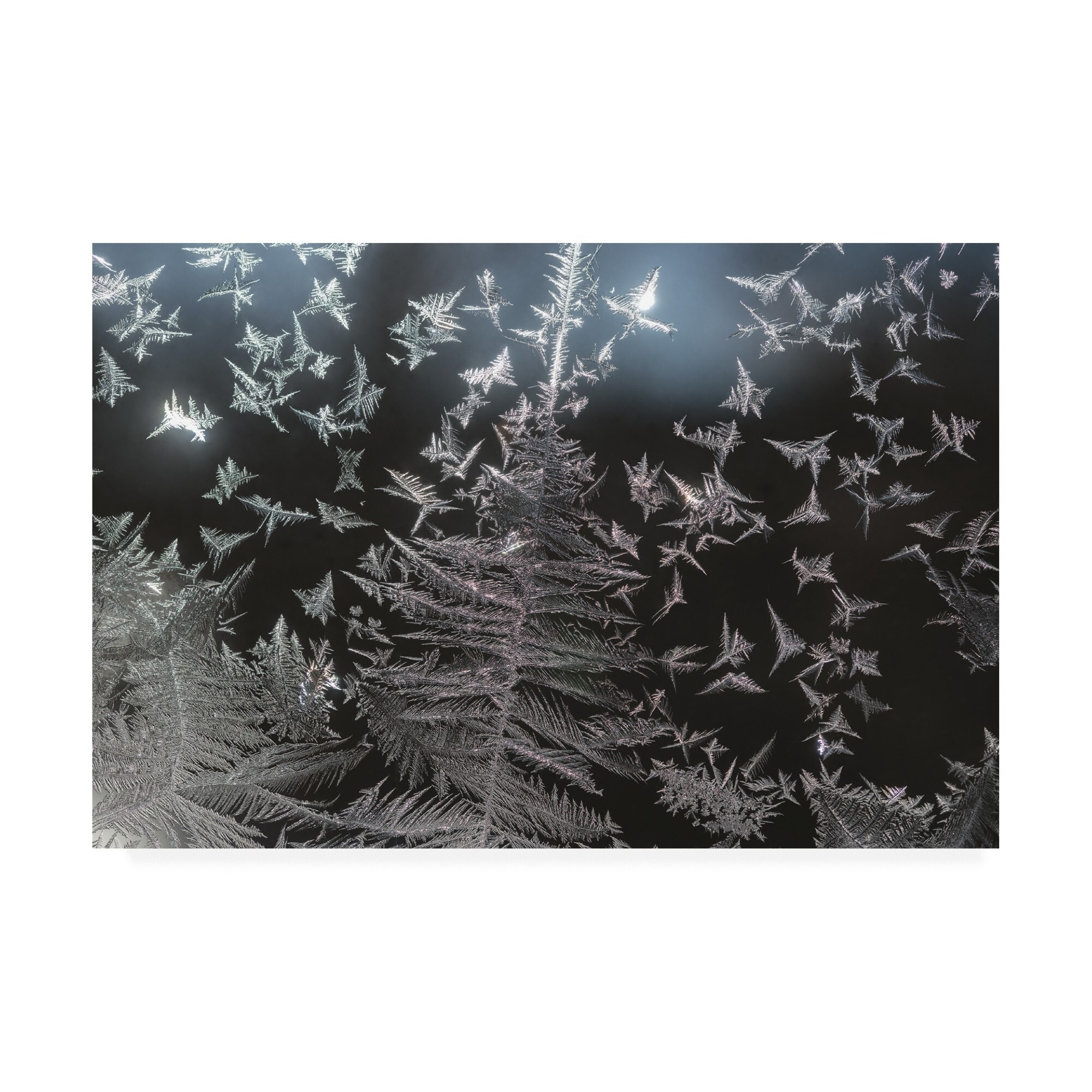Kurt Shaffer Photographs 'Ice crystal patterns on my window' Canvas Art