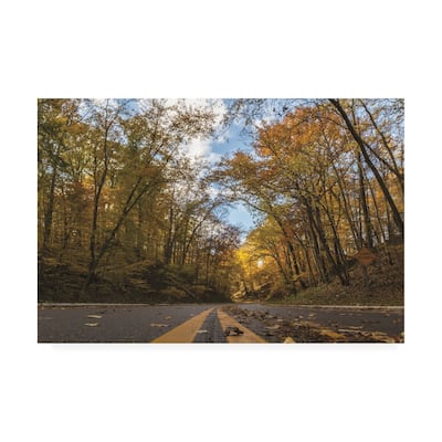 Kurt Shaffer Photographs 'Into Autumn' Canvas Art