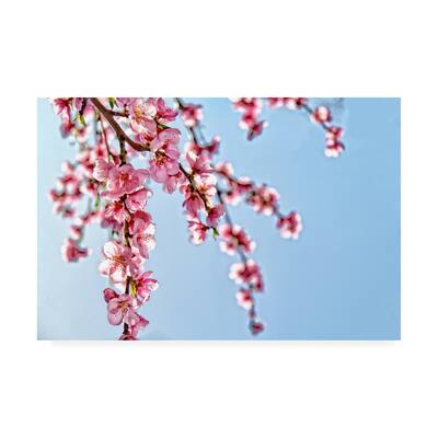 Beata Czyzowska Young 'BC Time for Spring' Canvas Art