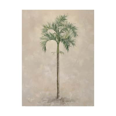 Debra Lake 'Palm Tree 4' Canvas Art