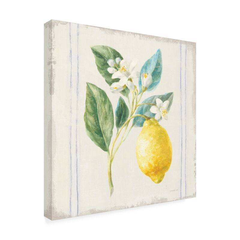 Danhui Nai 'Flour sack Lemons I Sq Navy' Canvas Art