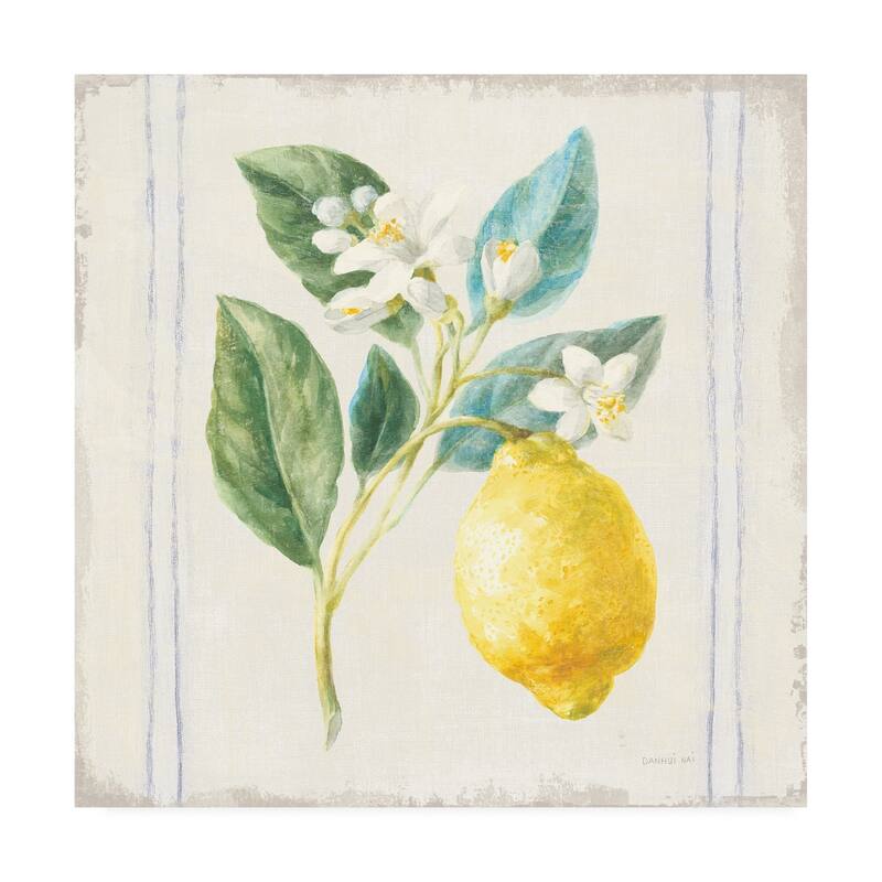 Danhui Nai 'Flour sack Lemons I Sq Navy' Canvas Art