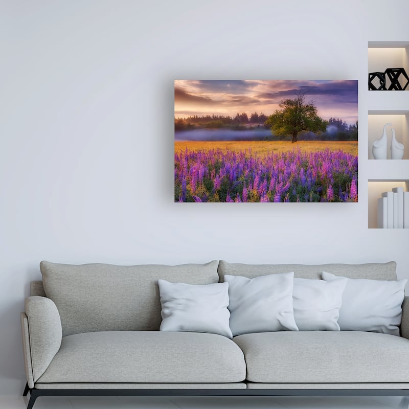 Darren White Photography 'Lupine Sunrise' Canvas Art